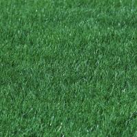 Газонная трава Смесь для спортивной площадки SPORT, 1 кг Газонная трава Смесь для спортивной площадки SPORT, 1 кг - Dolina-Sad.Ru