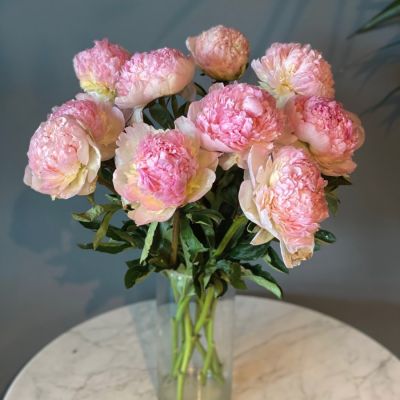 Пион Распберри Сандей - Dolina-Sad.Ru