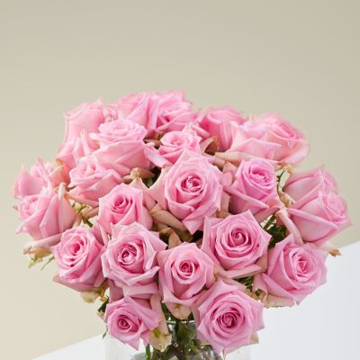 Роза Джессика Роза Джессика - Dolina-Sad.Ru