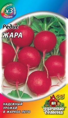 Редис Жара фото