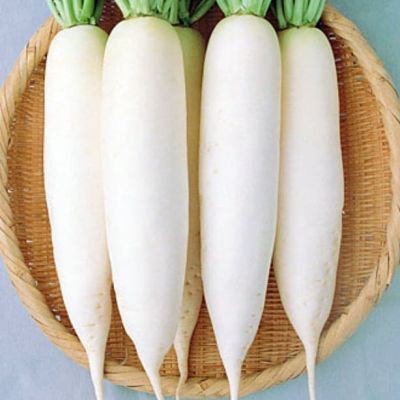 Дайкон Миноваси фото