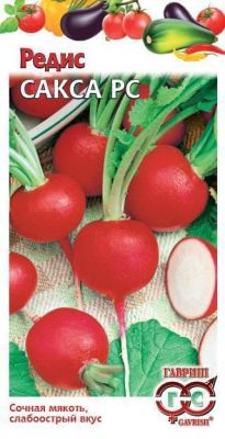 Редис Сакса РС Редис Сакса РС фото