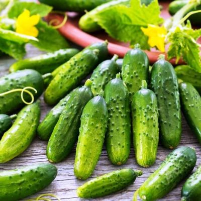 Огурец Боярский F1 Огурец Боярский F1 фото