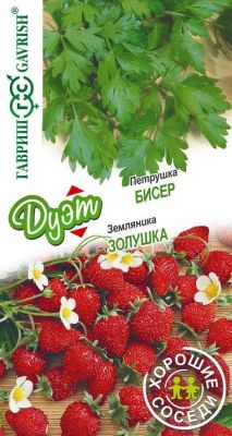 Петрушка Бисер + Земляника Золушка Петрушка Бисер + Земляника Золушка фото