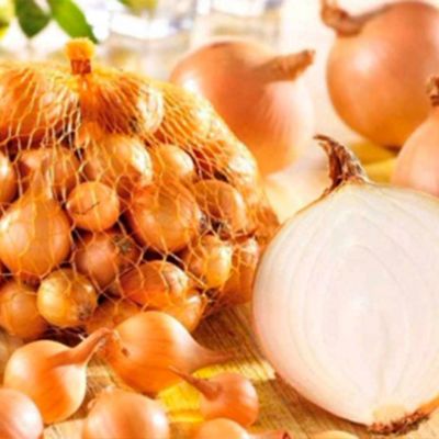 Лук-севок Стурон (10-21мм) Лук-севок Стурон (10-21мм) фото