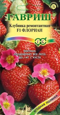 Земляника (Клубника) Флориан F1 пробирка фото