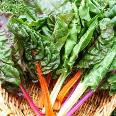 Мангольд Радуга Смесь фото